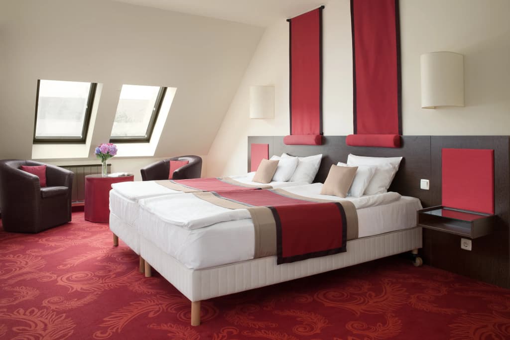 Rubin Wellness & Conference Hotel - photo 26
