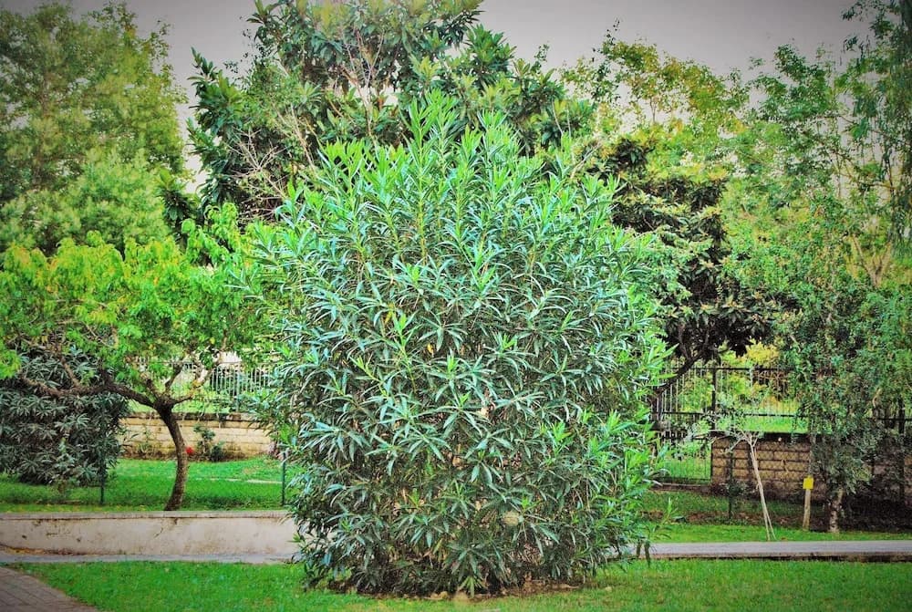 RomaEur Bed and Breakfast - photo 15