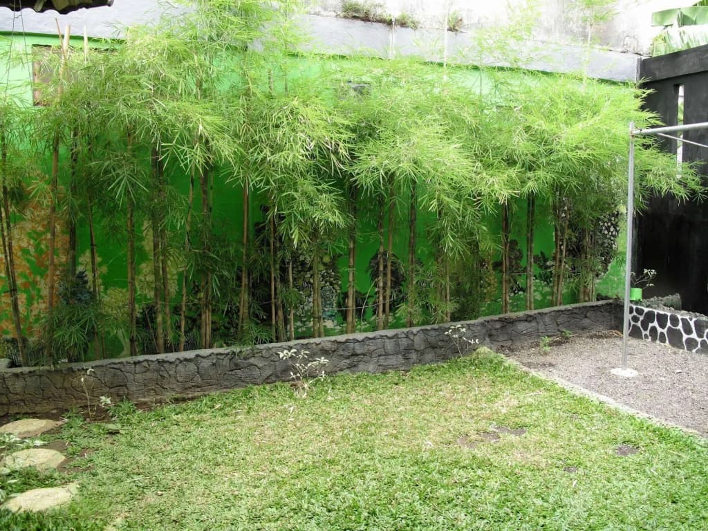 Morotai Camp Hostel -Adult Only - photo 13