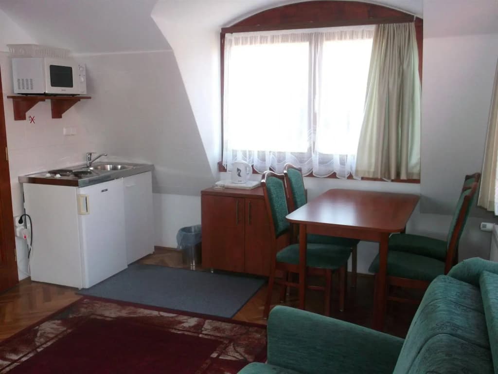 Helios Hotel Pension - photo 30