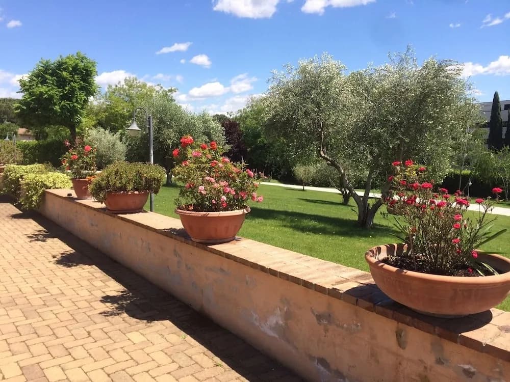 Luxardotel - Casa per Ferie - photo 17