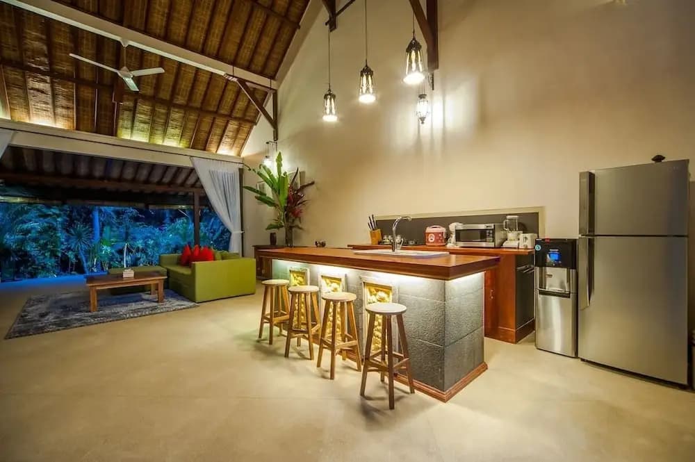 Infinity Jungle View Aashaya Villa Ubud - photo 37