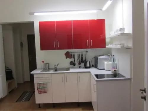 Apartment Vinohrady - photo 14