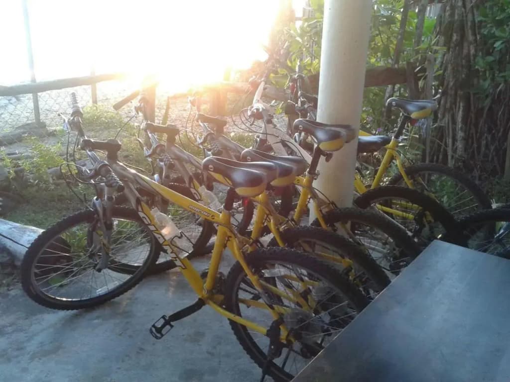 Pandan Beach Homestay - photo 8
