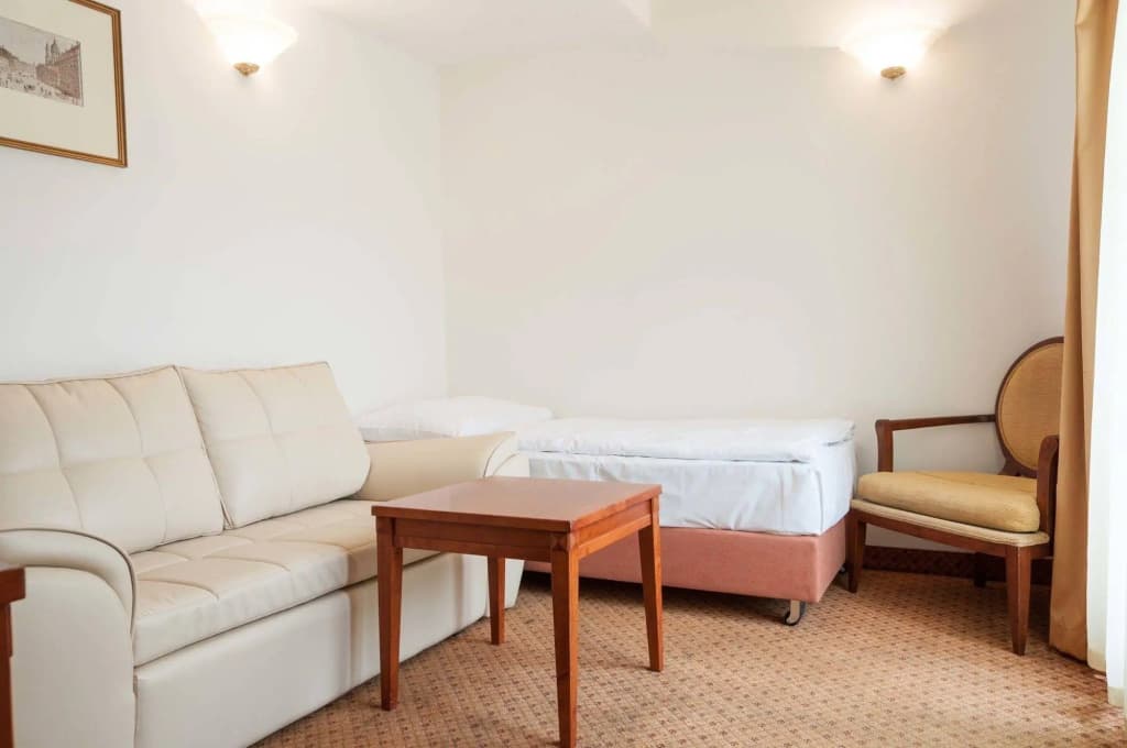 Hotel Raffaello Prague - photo 3
