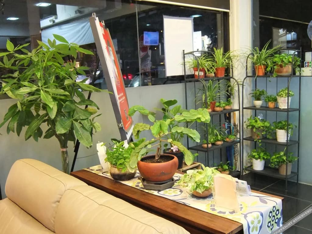 Calla Hotel - photo 2