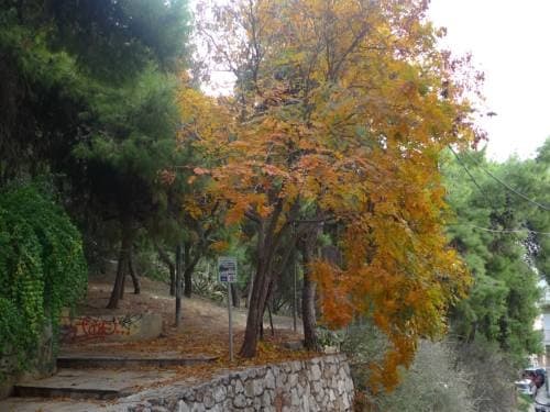 Orion Hotel - photo 9