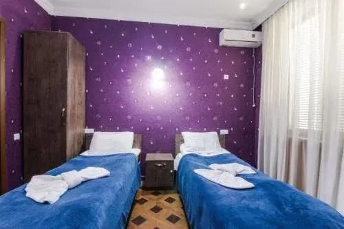 Green Hotel Tbilisi - photo 3