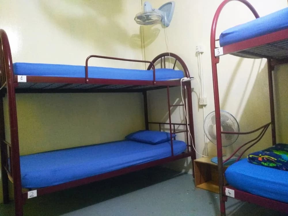 BONOBO Hostel Langkawi - photo 6