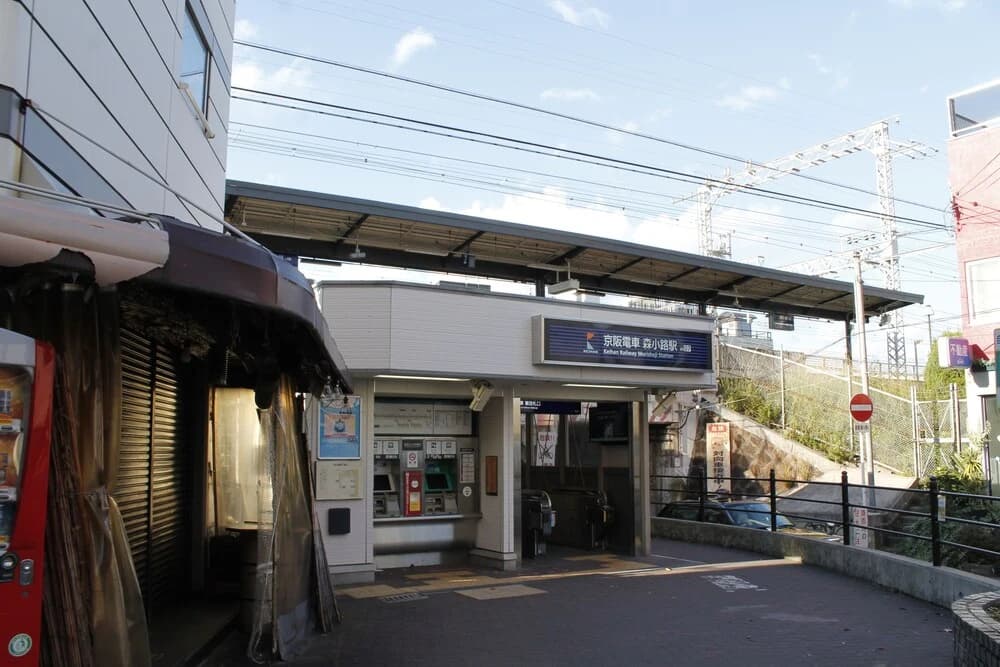 Hr Front Regal Shinmori - photo 12