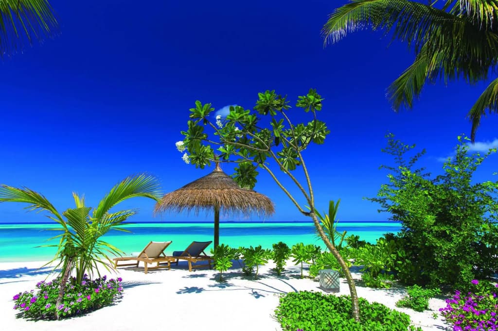 Ozen Life Maadhoo - photo 45