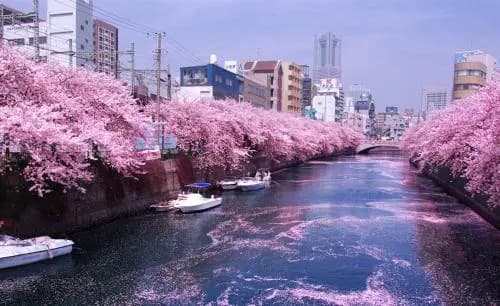 Junfukuya(153-1,2) - photo 4