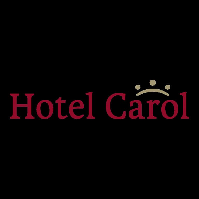 Hotel Carol - photo 43