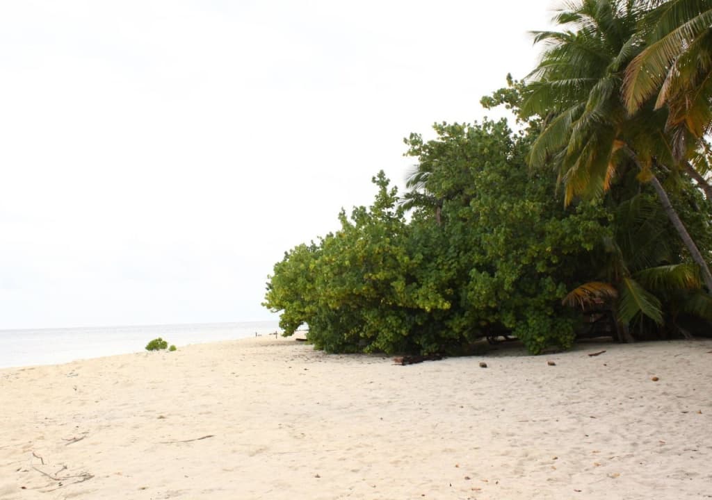 Casa Paguro Bodufolhudhoo - photo 11