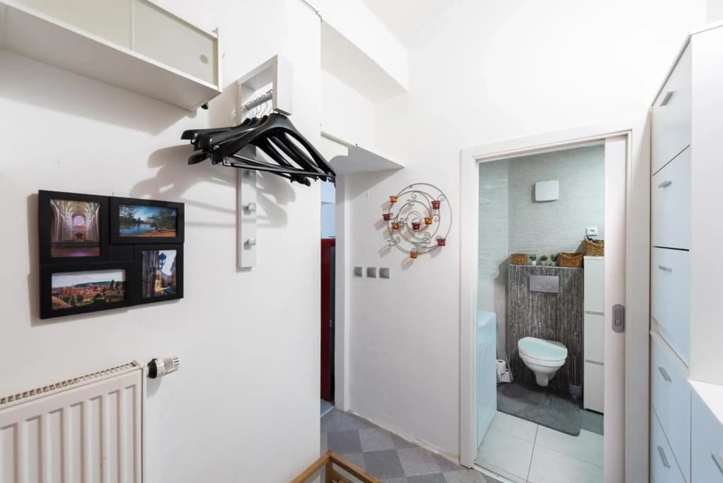 Žižkov apartments - photo 14
