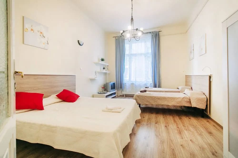 Dandy Deluxe Apartments - photo 4
