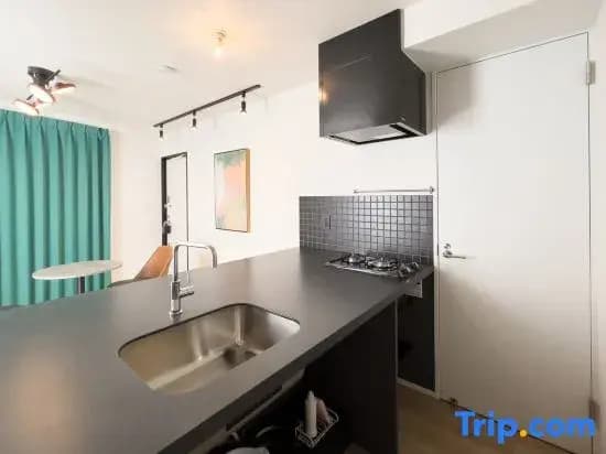 Trias540 - photo 3
