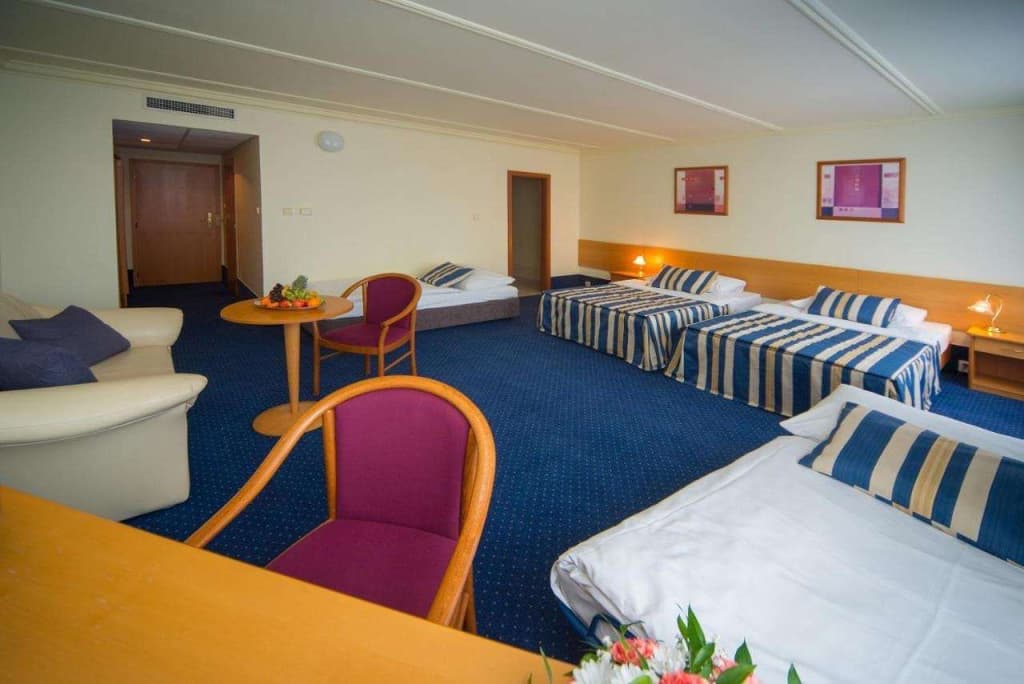 TOP HOTEL Praha & Conference Centre - photo 4