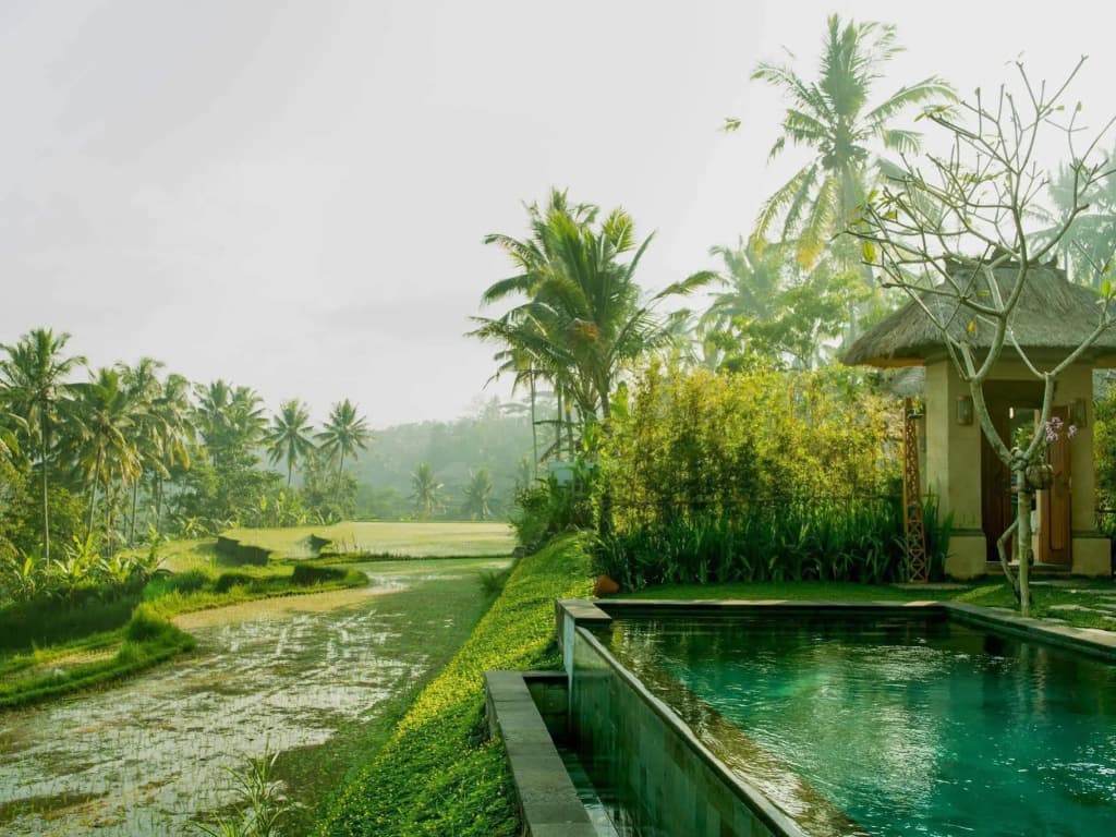 Bali Jiwa Villa - photo 3