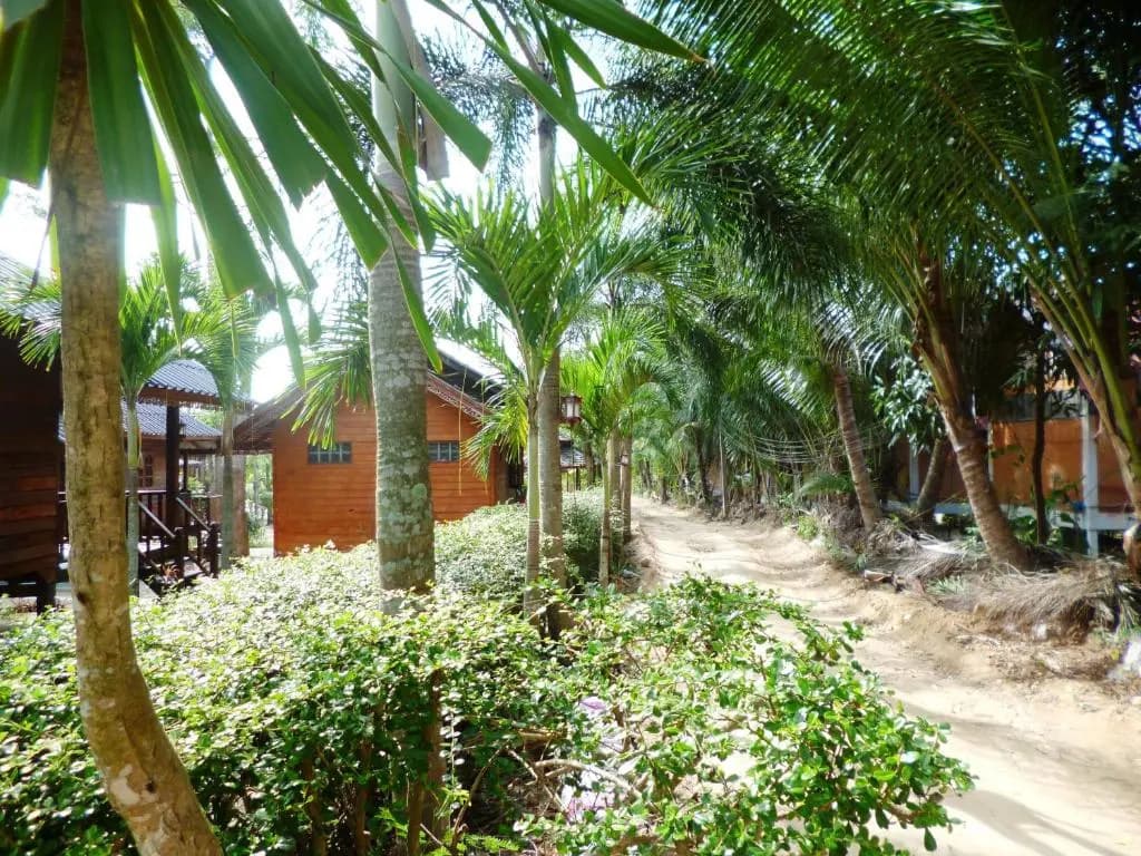 Haad Salad Resort - photo 5
