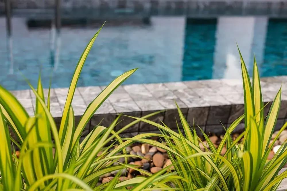 The Seaton House Phuket - photo 19