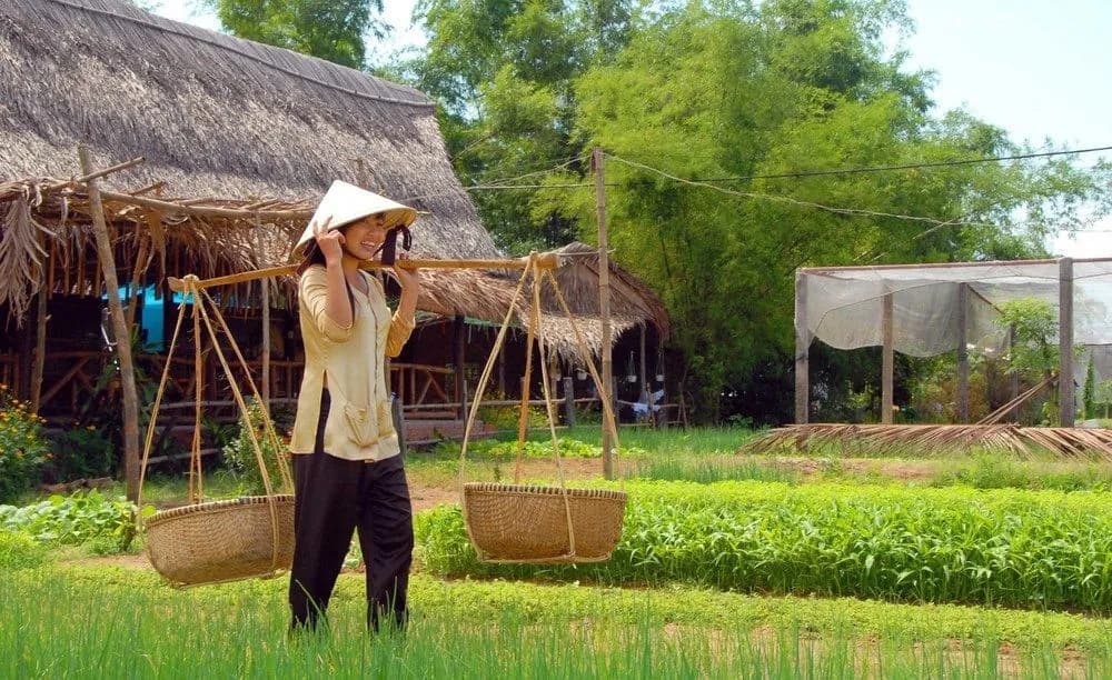 Gateway Inn Hoi An - photo 28