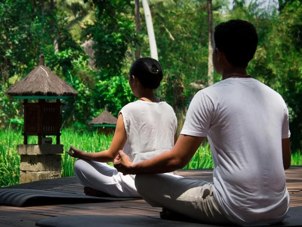 Plataran Ubud Hotel & Spa - photo 33