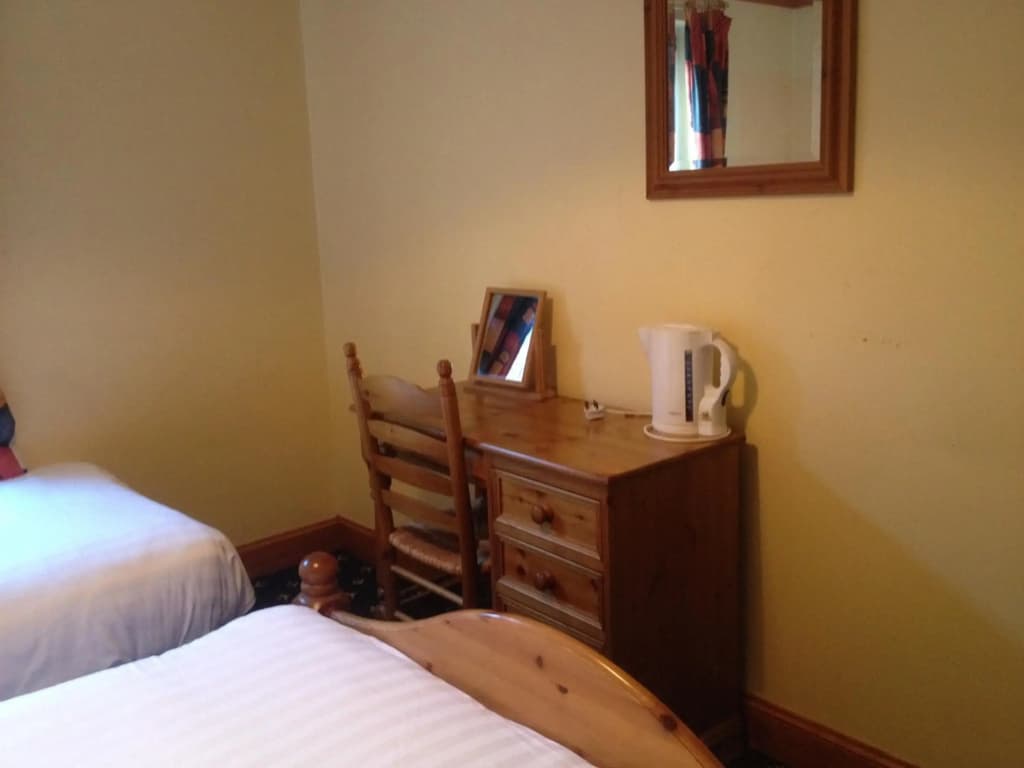 Twin Lions Hotel - photo 17