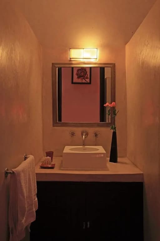 Riad Isis - photo 9