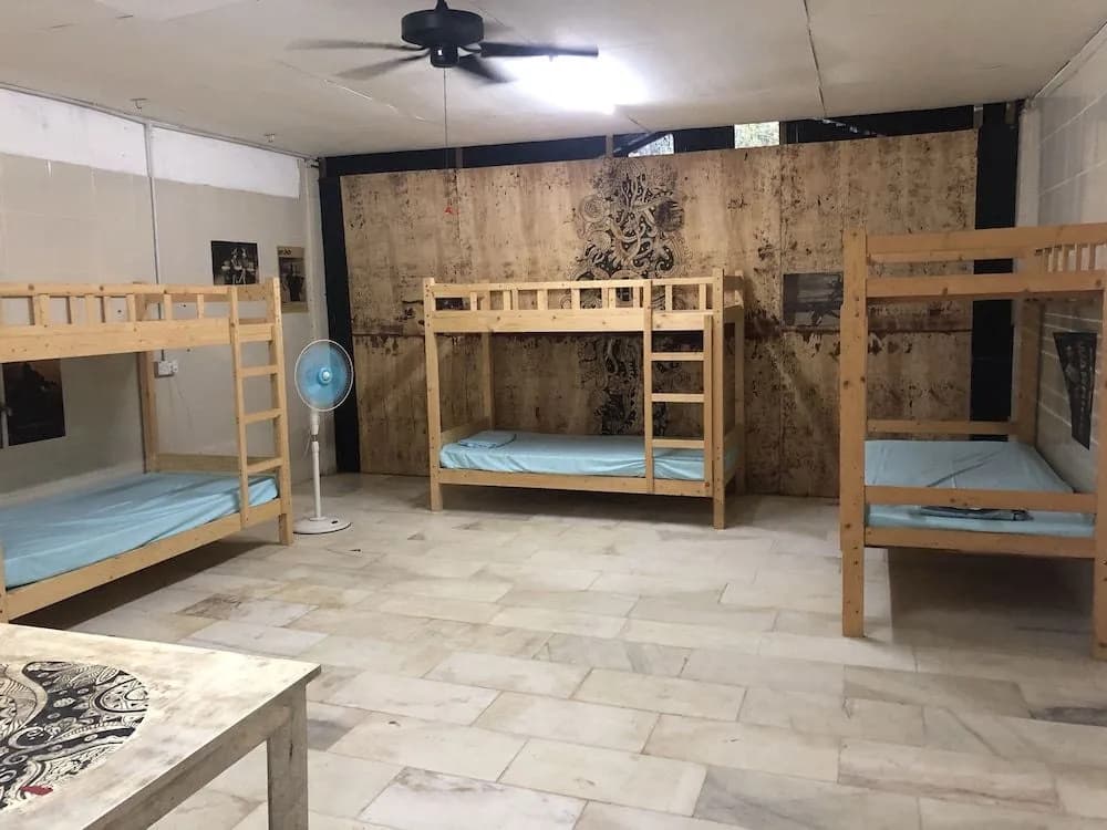 Red Eagle Bagpacker Hostel - photo 3