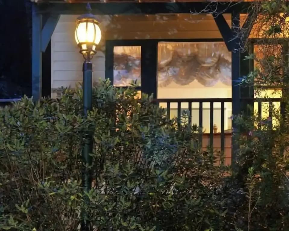 Belgrave Bed and Breakfast - photo 11