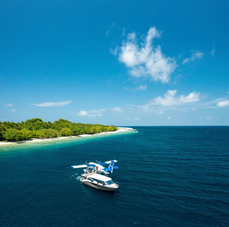 Amilla Maldives Resort - photo 26