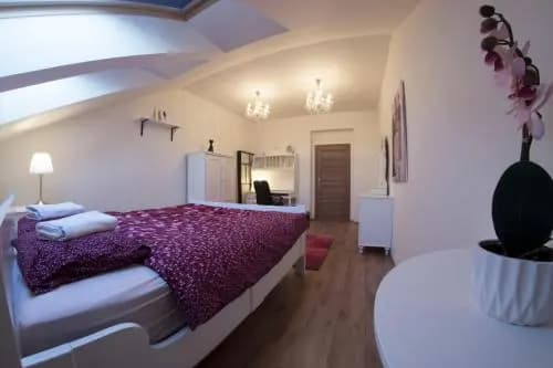 Prague Gate Apartments - photo 4