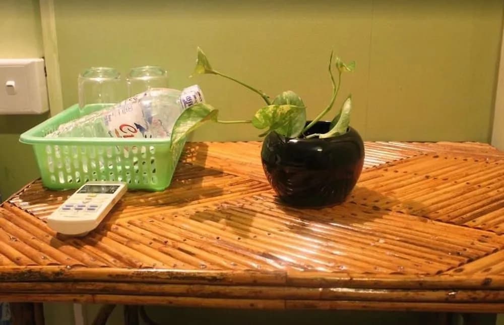The Green Home - photo 35