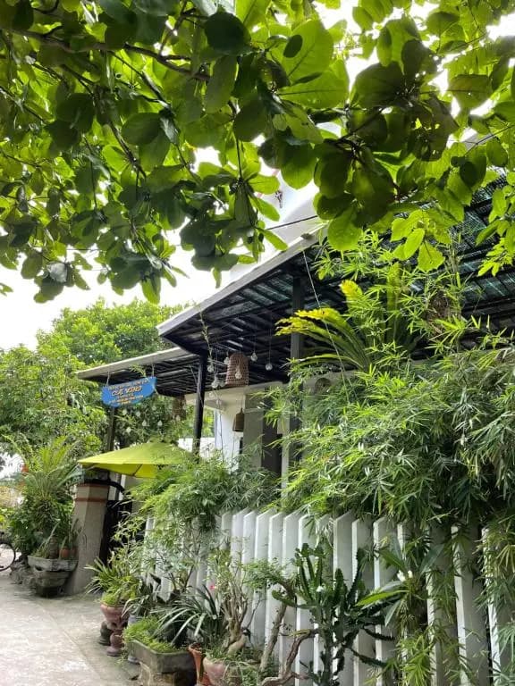 Hammock Homestay - photo 2