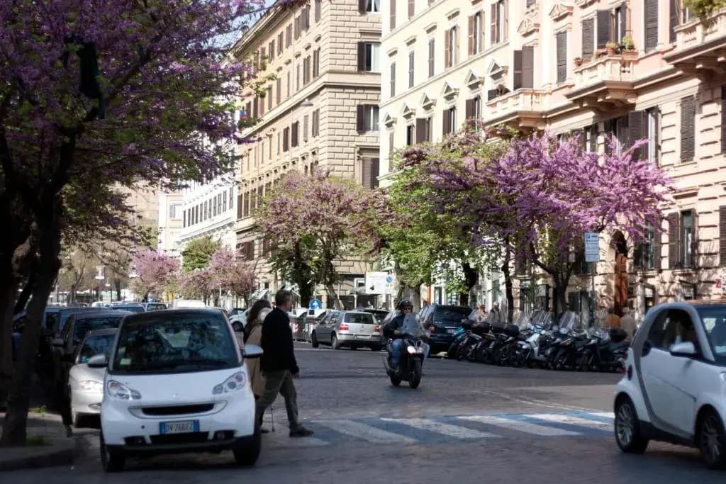 Eccelso Hotel - photo 17