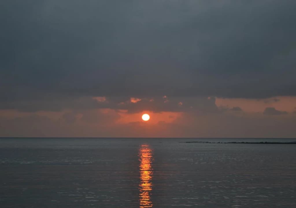 Palm Island - photo 16