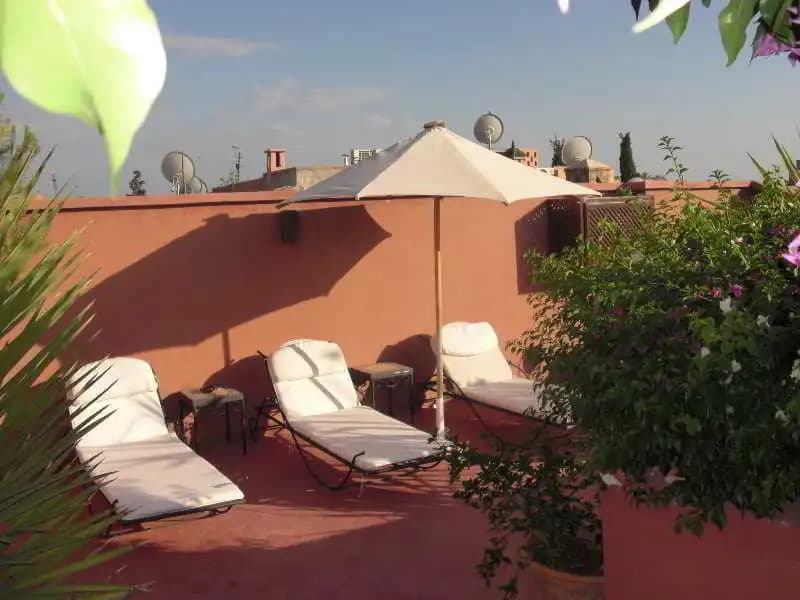 Riad Paula - photo 15