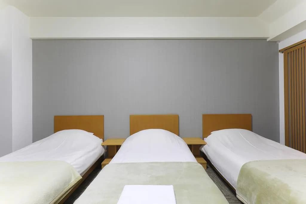Meldia Hotel Kyoto Nijo - photo 3