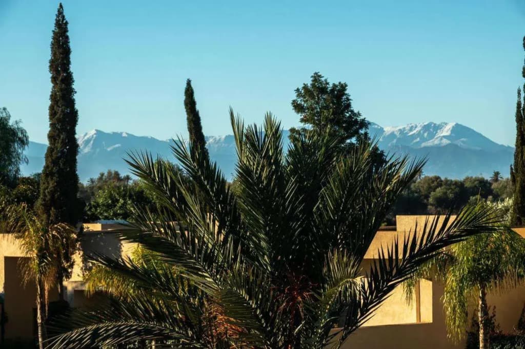 Sirayane Boutique Hotel and Spa - photo 19