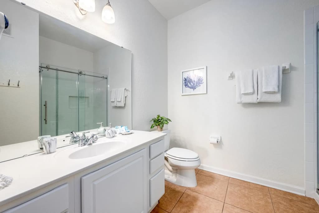 Vista Cay Epic in Orlando - photo 6