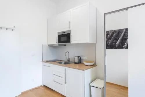 Tesnov Residence Apartments - main photo