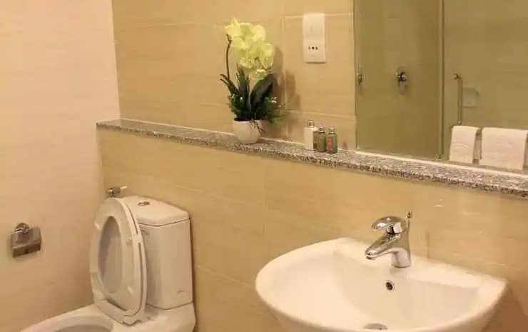 An Phu Plaza Serviced Apartment - photo 10