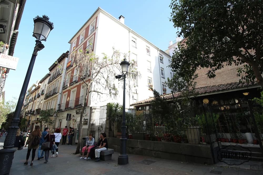 Charming Huertas - photo 10
