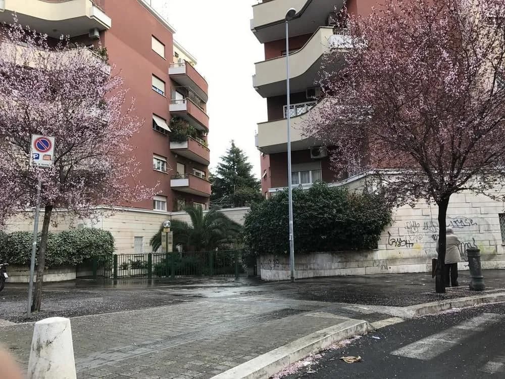 Vatican May's House - main photo