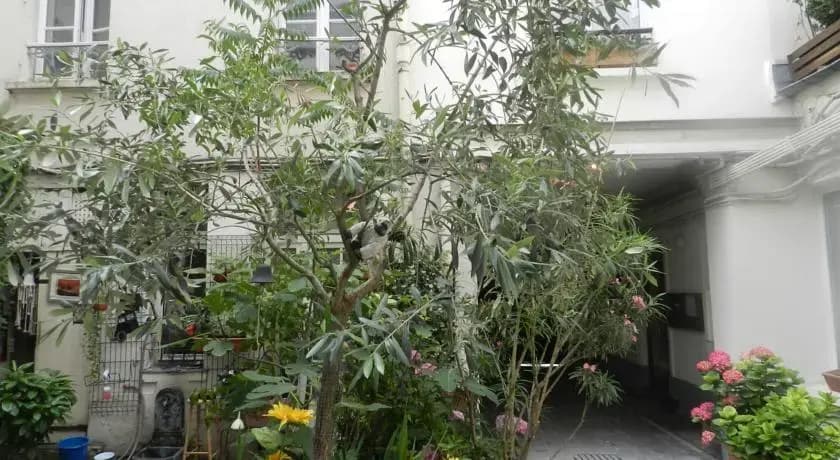 Chambre d'Hôtes Un Air de Montmartre - photo 8