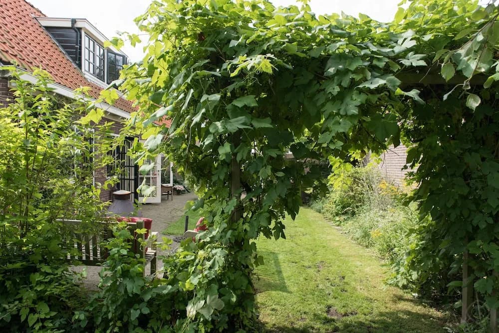 The Lazy Lodge - photo 6