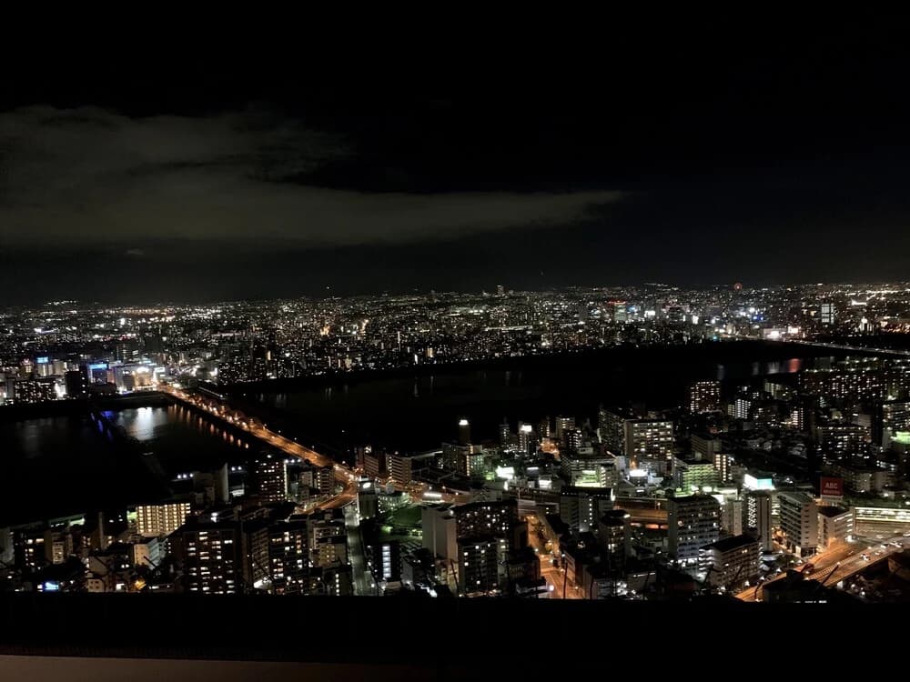 Minn Umeda North - photo 14