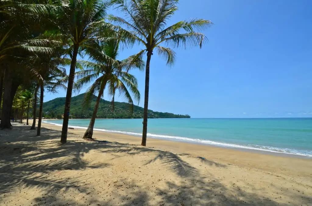 PapaCrab Boutique Guesthouse - photo 2