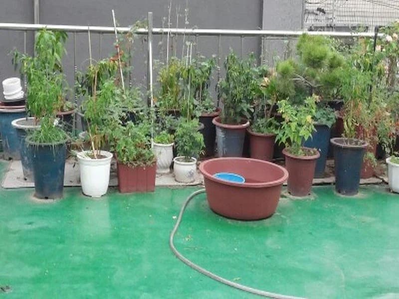 Songwontel Guesthouse - photo 14